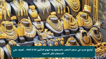 تراجع جديد في سعر الذهب بالسعودية اليوم الاثنين 24-2-1447.. تعرف على الأسعار لكل الأعيرة